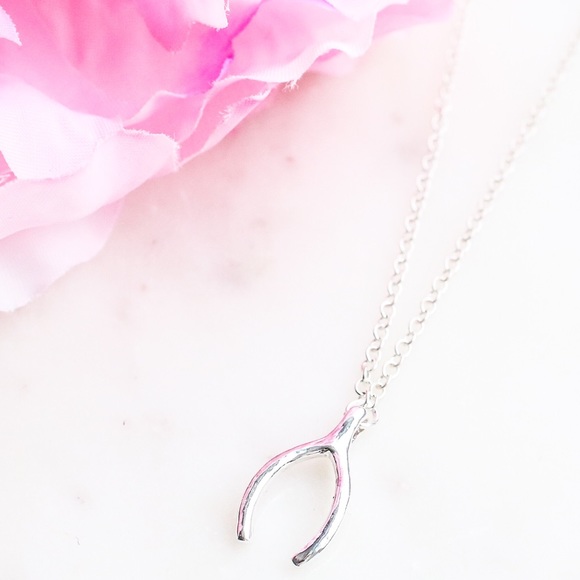 Dainty Silver Wishbone Necklace - Picture 4 of 7